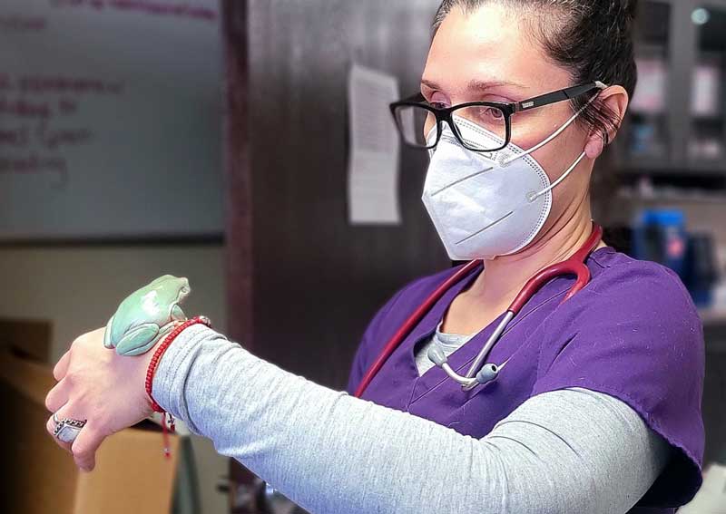 Carousel Slide 6: Exotic pet care